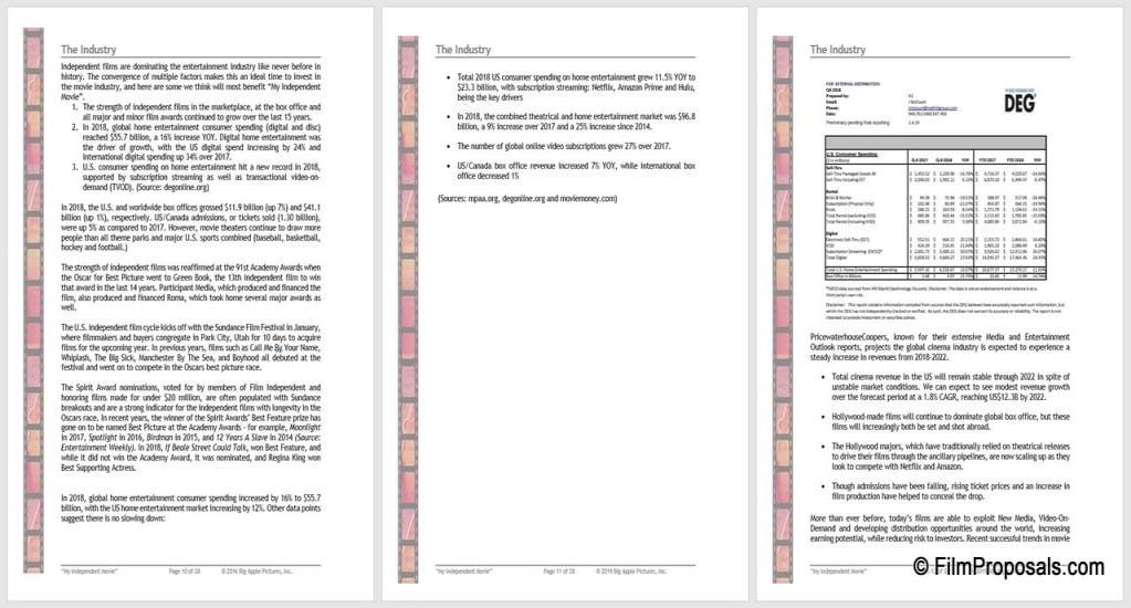 How Do I Write a Film Business Plan