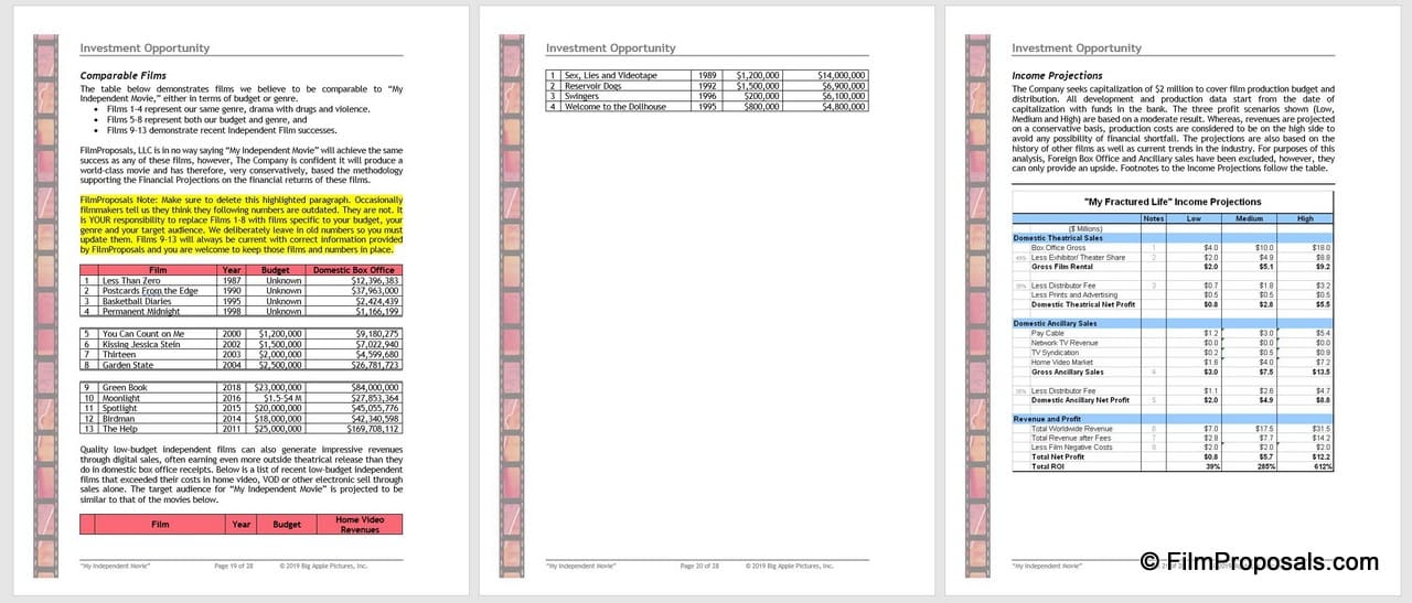 example of film production business plan